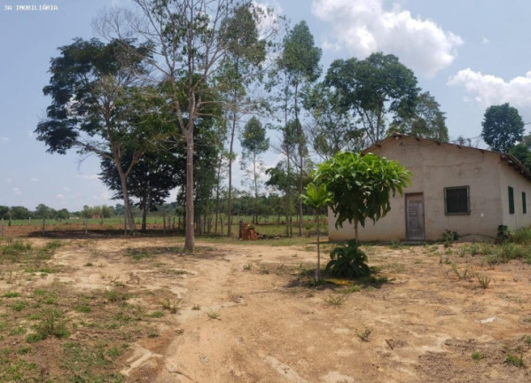 Chácara com 2 Quartos à Venda, 5.820 m² em Bairro Novo - Porto Velho