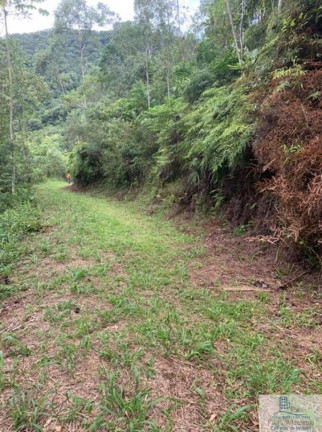 Imagem Chácara à Venda, 126.000 m² em Centro (rio Rosinha) - Rio Dos Cedros Imagem Chácara à Venda, 126.000 m² em Centro (rio Rosinha) - Rio Dos Cedros