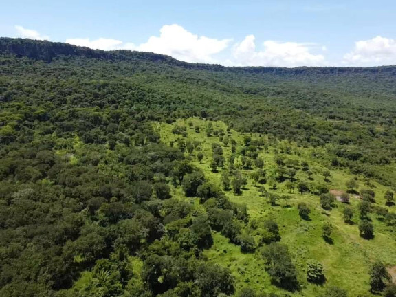 Imagem Chácara à Venda, 30 m² em Tangará Da Serra Imagem Chácara à Venda, 30 m² em Tangará Da Serra
