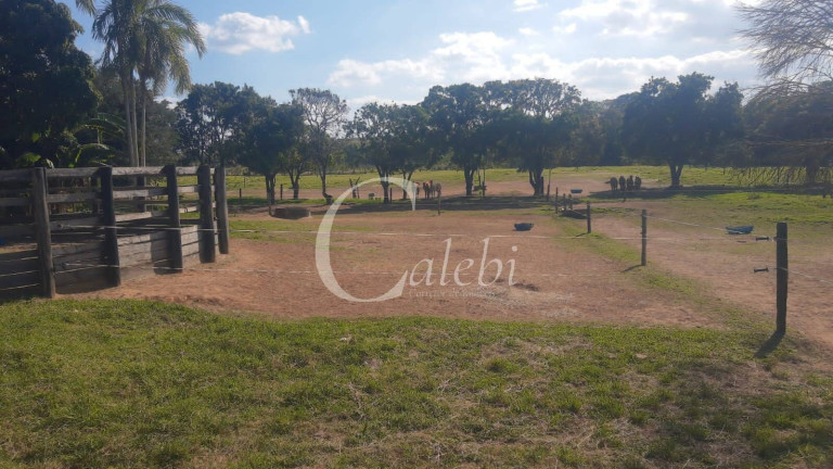 Imagem Chácara com 5 Quartos à Venda, 3 m² em Varginha - Santo Antônio De Posse