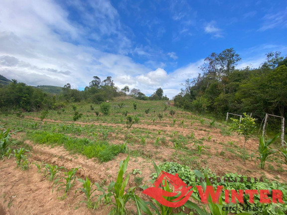 Imagem Chácara à Venda, 63.000 m² em São Roque - Feliz