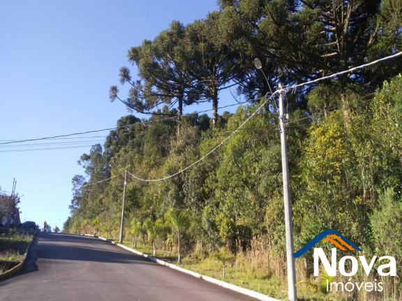 Imagem Imóvel à Venda,  em Canto Akermann - Nova Petrópolis