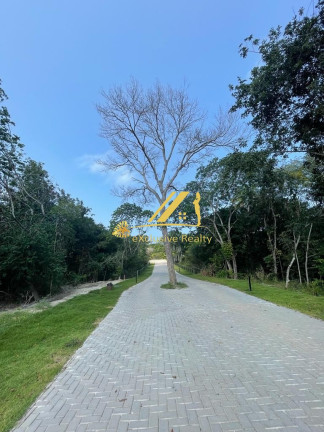 Imagem Imóvel à Venda, 700 m² em Praia Do Forte - Mata De São João Imagem Imóvel à Venda, 700 m² em Praia Do Forte - Mata De São João
