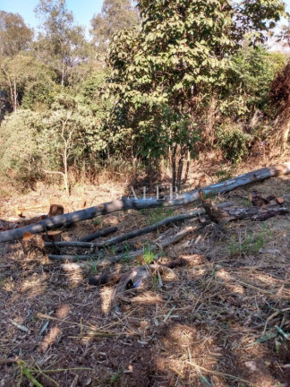 Imagem Terreno à Venda, 575 m² em Atibaia Belvedere - Atibaia Imagem Terreno à Venda, 575 m² em Atibaia Belvedere - Atibaia