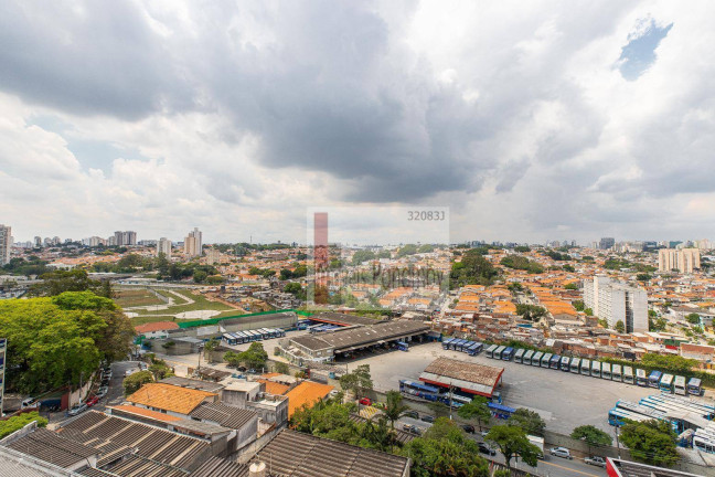 Imagem Apartamento com 2 Quartos à Venda, 59 m² em Vila Paulista - São Paulo Imagem Apartamento com 2 Quartos à Venda, 59 m² em Vila Paulista - São Paulo