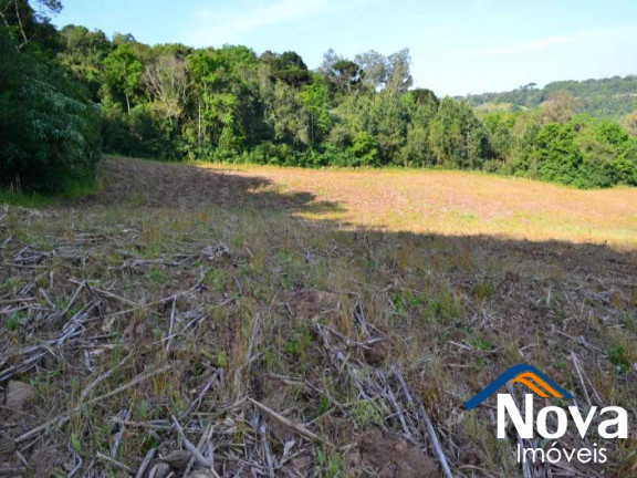Imagem Imóvel à Venda, em Pinhal Alto - Nova Petrópolis Imagem Imóvel à Venda, em Pinhal Alto - Nova Petrópolis