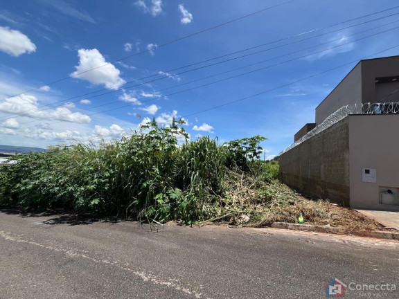 Imagem Terreno à Venda, 231 m² em Afonso Queiroz - Patos De Minas
