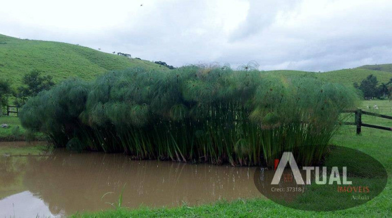 Imagem Fazenda à Venda, 4 m² em Vale Do Paraíba - Cachoeira Paulista Imagem Fazenda à Venda, 4 m² em Vale Do Paraíba - Cachoeira Paulista