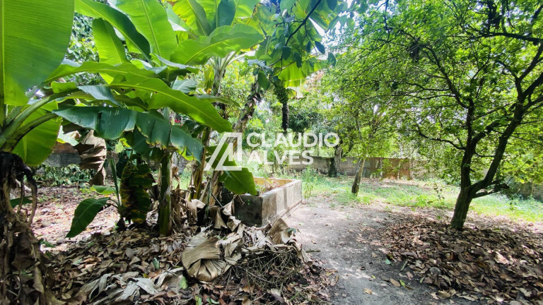 Imagem Chácara com 2 Quartos à Venda, 2 m² em Chaparral - Feira De Santana