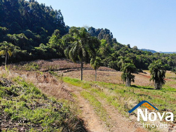 Imagem Imóvel à Venda, em Pinhal Alto - Nova Petrópolis Imagem Imóvel à Venda, em Pinhal Alto - Nova Petrópolis