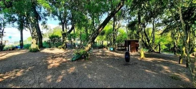 Imagem Imóvel com 3 Quartos à Venda, 100 m² em Ruaral - Araricá