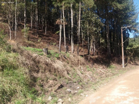 Imagem Terreno à Venda, 6.765 m² em Ouro Fino Paulista - Ribeirão Pires Imagem Terreno à Venda, 6.765 m² em Ouro Fino Paulista - Ribeirão Pires