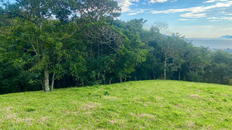 Imagem Terreno à Venda, 4.908 m² em Praia Da Silveira - Garopaba