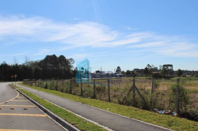 Imagem Terreno à Venda, 2.000.000 m² em Guatupê - São José Dos Pinhais Imagem Terreno à Venda, 2.000.000 m² em Guatupê - São José Dos Pinhais