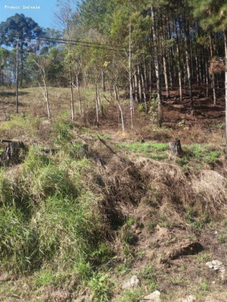 Imagem Terreno à Venda, 6.765 m² em Ouro Fino Paulista - Ribeirão Pires Imagem Terreno à Venda, 6.765 m² em Ouro Fino Paulista - Ribeirão Pires