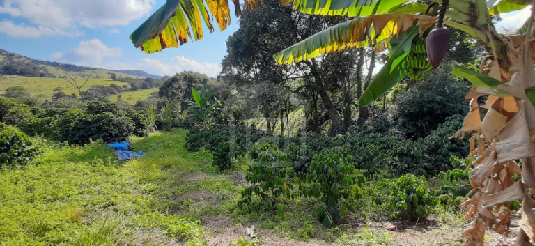 Imagem Imóvel à Venda, 3 m² em Milho Verde - Bandeira Do Sul