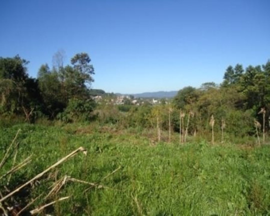 Imagem Terreno à Venda, 5 m² em Linha Nova - Linha Nova Imagem Terreno à Venda, 5 m² em Linha Nova - Linha Nova