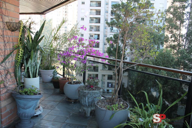 Imagem Apartamento com 3 Quartos à Venda, 200 m² em Jardim Parque Morumbi - São Paulo Imagem Apartamento com 3 Quartos à Venda, 200 m² em Jardim Parque Morumbi - São Paulo