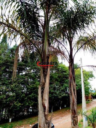 Imagem Chácara com 3 Quartos à Venda, 1.000 m² em Votorantim - Ibiúna