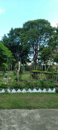 Imagem Chácara com 2 Quartos à Venda, 300 m² em Córrego Da Onça - Charqueada Imagem Chácara com 2 Quartos à Venda, 300 m² em Córrego Da Onça - Charqueada