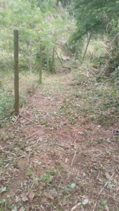 Imagem Terreno à Venda, 2.000 m² em Guaratiba - Rio De Janeiro Imagem Terreno à Venda, 2.000 m² em Guaratiba - Rio De Janeiro
