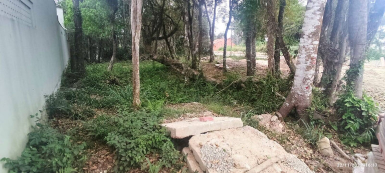 Imagem Terreno à Venda, 300 m² em Mariscal - Bombinhas Imagem Terreno à Venda, 300 m² em Mariscal - Bombinhas