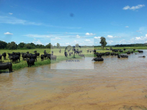 Imagem Fazenda à Venda, 297 m² em Rural - Santana Do Itararé Imagem Fazenda à Venda, 297 m² em Rural - Santana Do Itararé