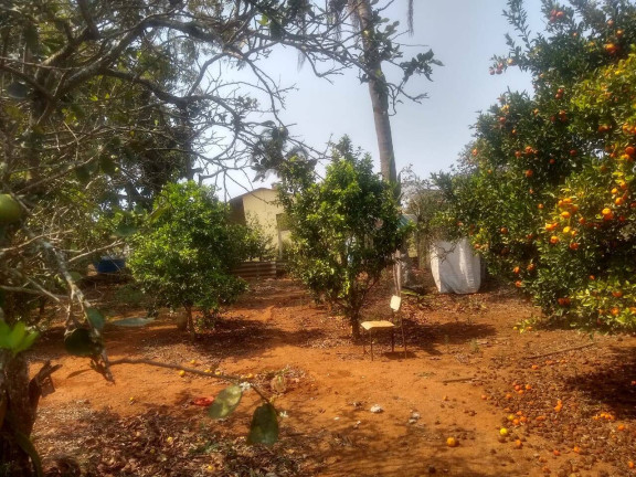 Imagem Chácara com 2 Quartos à Venda, 1 m² em Jardim Cananéia - Pilar Do Sul Imagem Chácara com 2 Quartos à Venda, 1 m² em Jardim Cananéia - Pilar Do Sul