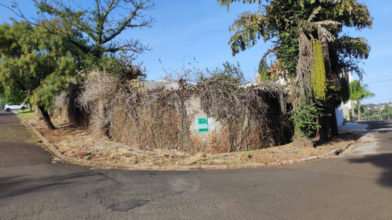 Terreno à Venda, 515 m² em Parque Veneza - Arapongas