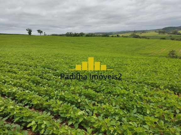 Imagem Chácara à Venda, 20 m² em Pilar Do Sul