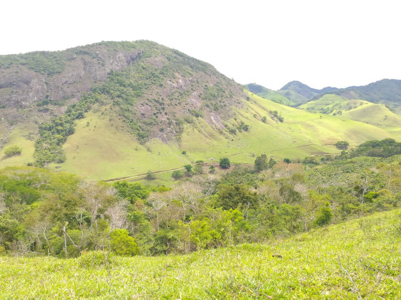 Imagem Fazenda à Venda, 9.790.000 m² em Centro - Trajano De Morais