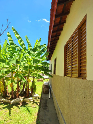 Imagem Chácara com 4 Quartos à Venda, 2.000 m² em Pedregulho - São João Da Boa Vista Imagem Chácara com 4 Quartos à Venda, 2.000 m² em Pedregulho - São João Da Boa Vista