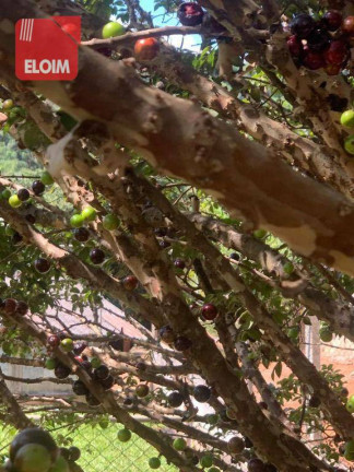 Imagem Chácara com 3 Quartos à Venda, 554 m² em Rancho Caiocara - Atibaia