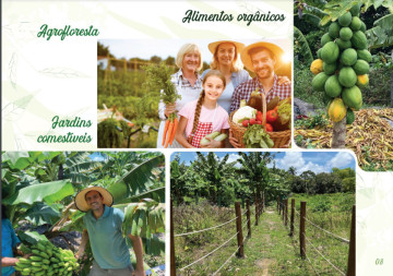 Anuncio Imóvel