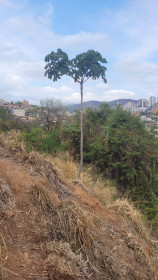 Anuncio Imóvel