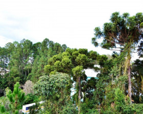 Imóvel com 3 Quartos à Venda, 141 m² em Logradouro - Nova Petrópolis