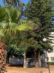 Imóvel com 2 Quartos à Venda, 50 m² em Jardim Bom Retiro (nova Veneza) - Sumaré