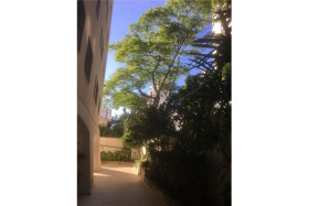 ImovelGuide Anuncio