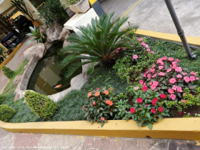 Apartamento com 3 Quartos à Venda, 70 m² em Parque Esmeralda - São Paulo