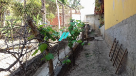 Fazenda à Venda, 2.000 m² em Casa Amarela (charneca) - Betim