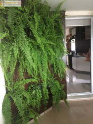 Apartamento com 3 Quartos à Venda, 192 m² em Vila Mariana - São Paulo