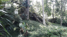 Chácara com 4 Quartos à Venda, 5.000 m² em Alto Da Serra - São Roque