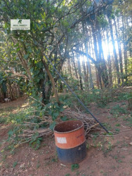 Imóvel Comercial à Venda, 50.000 m² em Taboão - São Roque