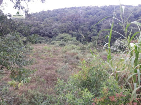 Fazenda à Venda, 450.000 m² em Capela Do Cepo - São Roque