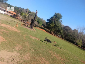 Imóvel Comercial à Venda, 50.000 m² em Taboão - São Roque