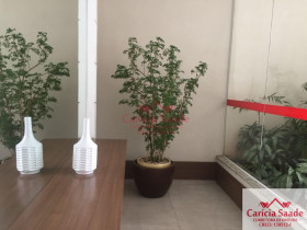 Apartamento com 2 Quartos à Venda, 64 m² em Vila Mariana - São Paulo