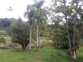 Fazenda à Venda, 450.000 m² em Capela Do Cepo - São Roque