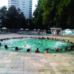 Apartamento com 2 Quartos à Venda, 53 m² em Jardim Olympia - São Paulo