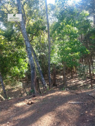 Imóvel Comercial à Venda, 50.000 m² em Taboão - São Roque