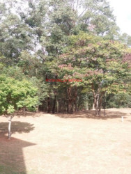 Apartamento com 2 Quartos à Venda, 52 m² em Chácara Planalto - Jundiaí